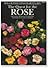 The Quest for the Rose: The Most Highly Illustrated Historical Guide to Roses