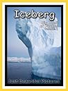 Just Iceberg Phot...