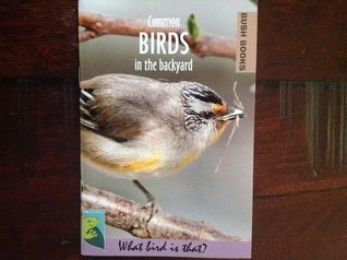 Common birds in the backyard