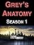 Grey's Anatomy: Season 1