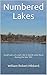 Numbered Lakes: Small tales of a kid’s life growing up in North Little Rock during the late '60s