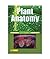 Plant Anatomy