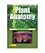 Plant Anatomy by B.P. Pandey