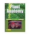 Plant Anatomy