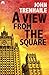 A View From the Square: General Stepan Povin Book 2