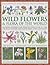 The Complete Illustrated Encyclopedia of Wild Flowers and Flora of the World: An Expert Reference And Identification Guide To Over 1730 Wild Flowers ... Beautiful Watercolours, Maps And Photographs