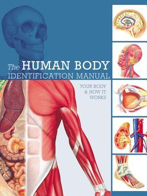 Human Body Identification Manual: Your body and how it works