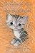 Sammy the Shy Kitten