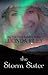 The Storm Sister (Thorndike Press large print romance)