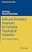 Bulk and Boundary Invariants for Complex Topological Insulators: From K-Theory to Physics (Mathematical Physics Studies)