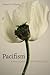 Pacifism: A Philosophy of N...