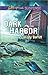 Dark Harbor (Love Inspired Suspense)