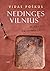 Nedingęs Vilnius