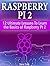 Raspberry PI 2: 12 Ultimate Lessons To Learn the Basics of Raspberry PI 2