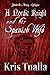 A Nordic Knight and his Spanish Wife: Jakob & Avery - Book 3 (The Hansen Series - Jakob & Avery)