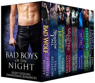Bad Boys of the Night (Kindle Edition)