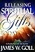 Releasing Spiritual Gifts Today by James W. Goll