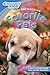 Discovery Kids Readers: Favorite Pets