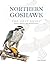 Northern Goshawk, the Gray Ghost: Habits, Habitat, and Rehabilitation