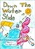 Down the Water Slide: an Anthology of Student Poetry (Student Poetry Anthologies Book 5)