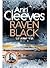 Raven Black (Shetland Island, #1)