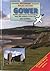 Walks Around Gower by Jane Griffiths
