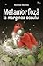 Metamorfoză la marginea cerului