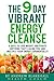 The 9 Day Vibrant Energy Cl...