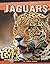 Jaguars (Big Cats)