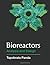 Bioreactors: Analysis and Design: Analysis and Design