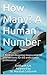 HR Analytics : How Many? A Human Number: A book on designing HR Analytics based interventions for the enthusiastic professional