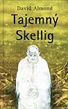 Tajemný Skellig