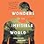 Wonders of the Invisible World