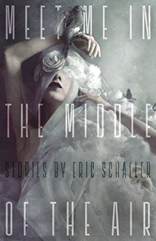 Meet Me in the Middle of the Air (Paperback)