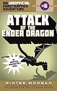Attack of the Ender Dragon
