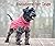 Sweaters for Dogs: 15 Knitt...