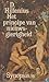 Het principe van nieuwsgierigheid (Synopsis) (Dutch Edition)