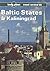 Baltic States and Kaliningrad: A Travel Survival Kit