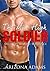 The Mile High Soldier: Military Marine Romance