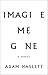 Imagine Me Gone
