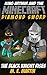 Minecraft: King Arthur and the Minecraft Diamond Sword: The Black Knight Rises (Tales of King Arthur Comic Book 5)