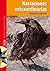 Narraciones extraordinarias (Spanish Edition)