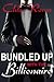 Bundled Up with the Billionaire by Chloe Raven