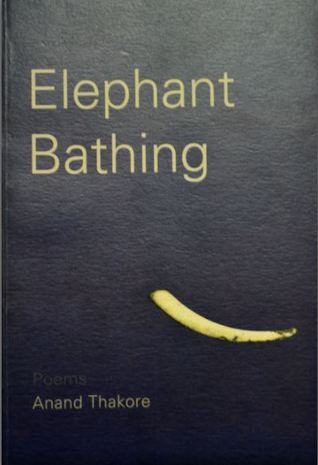 Elephant Bathing