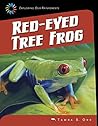 Red-eyed Tree Frog