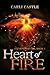Heart of Fire (Elements of Life Book 2)