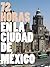 72 Horas en la Ciudad de México by Adolfo González