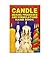 Candle Making Processes and Formulations Handbook [Paperback] [Jan 01, 1749] EIRI