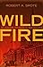 Wildfire: The Legislation That Ignited the Great Recession