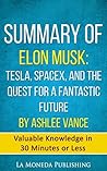 Summary of Elon M...